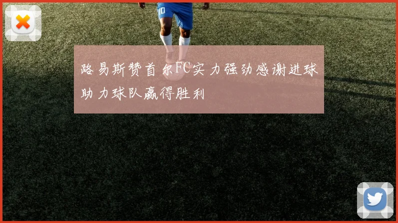 路易斯赞首尔FC实力强劲感谢进球助力球队赢得胜利