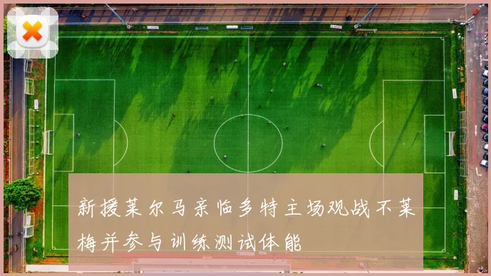 新援莱尔马亲临多特主场观战不莱梅并参与训练测试体能