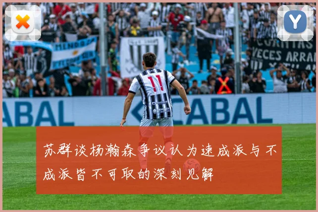 苏群谈杨瀚森争议认为速成派与不成派皆不可取的深刻见解