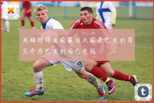 老猫称邓肯前最佳大前是巴克利若无乔丹巴克利或已夺冠