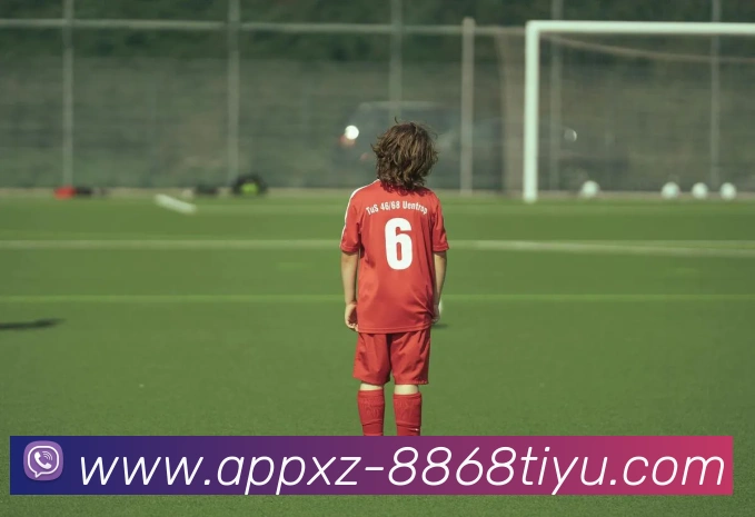 App Interface Preview